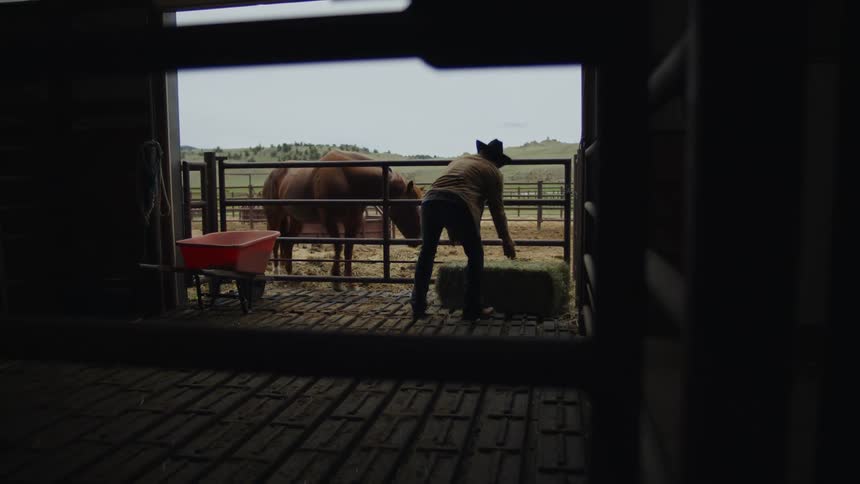 Rancher hauls hay and drops it near corral before patting the horse in the corral