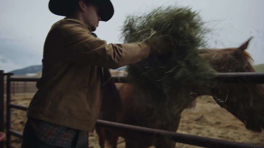 Man picking up dry grass and giving it to the horse