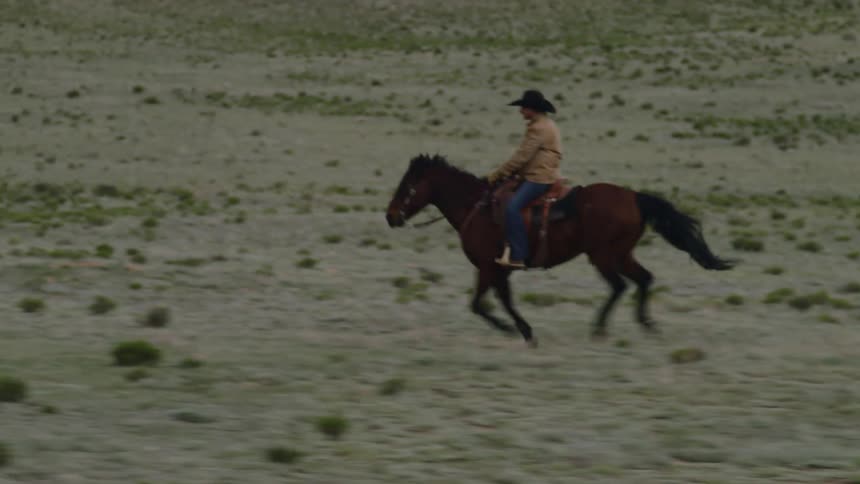Man running with a horse through a field