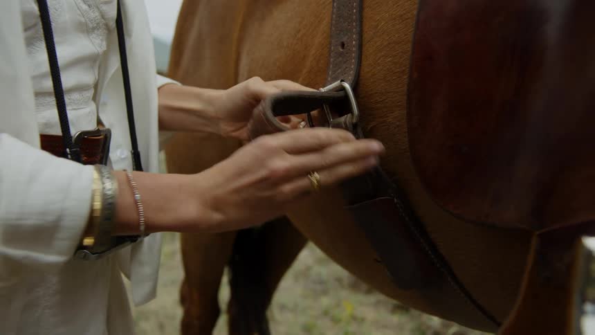 Womans hand tightening a horses belt