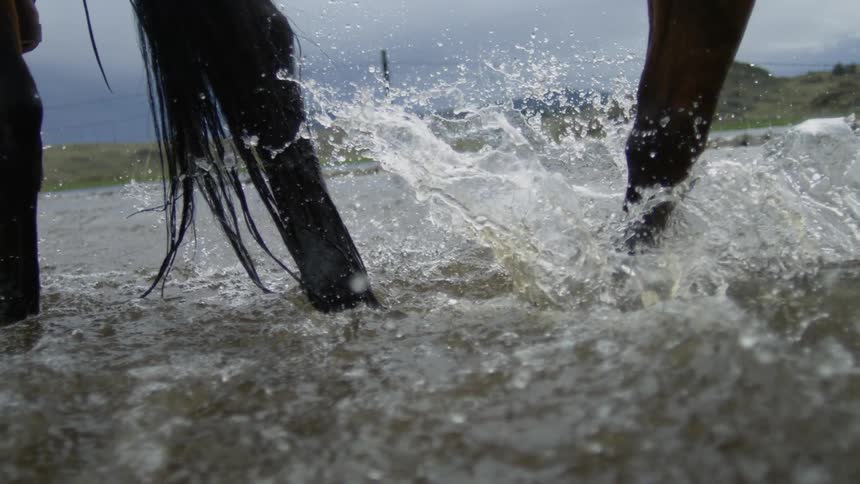 Horse hooves crossing a lake