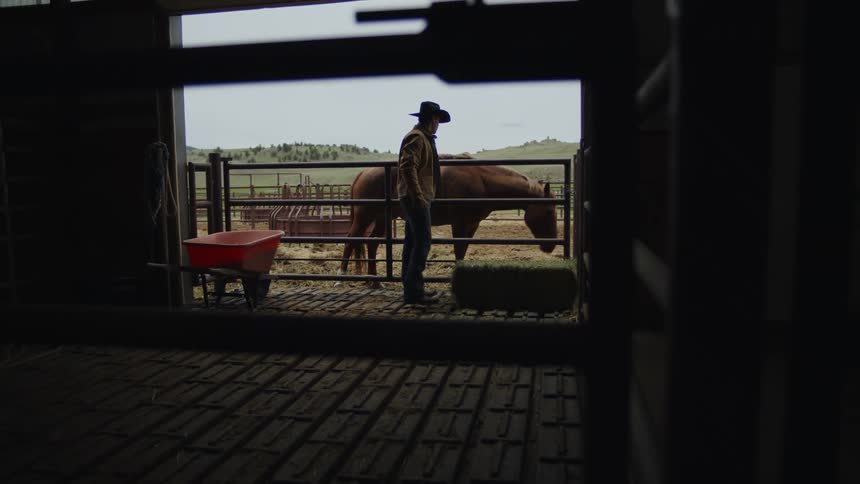 Man picking up grass and placing it in the corner of a barn and petting a horse
