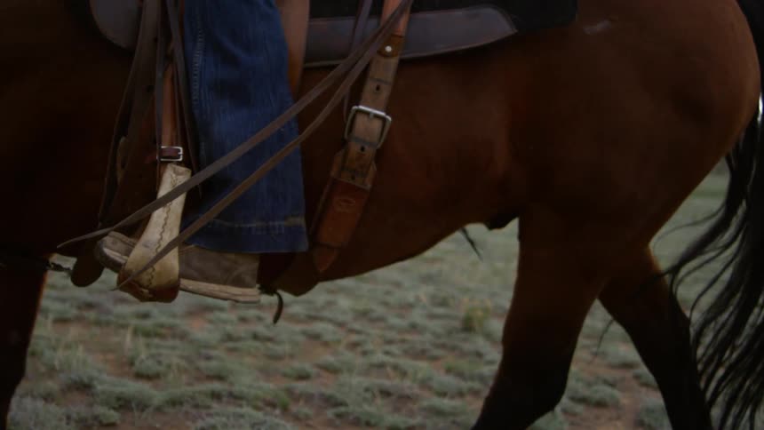 A person rides a horse in slow motion