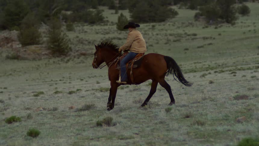 A person riding a horse across a grassy field in slow motion with trees in the background