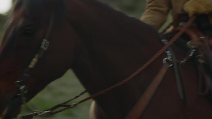 Cowboy sits on a horse and pets it with one hand