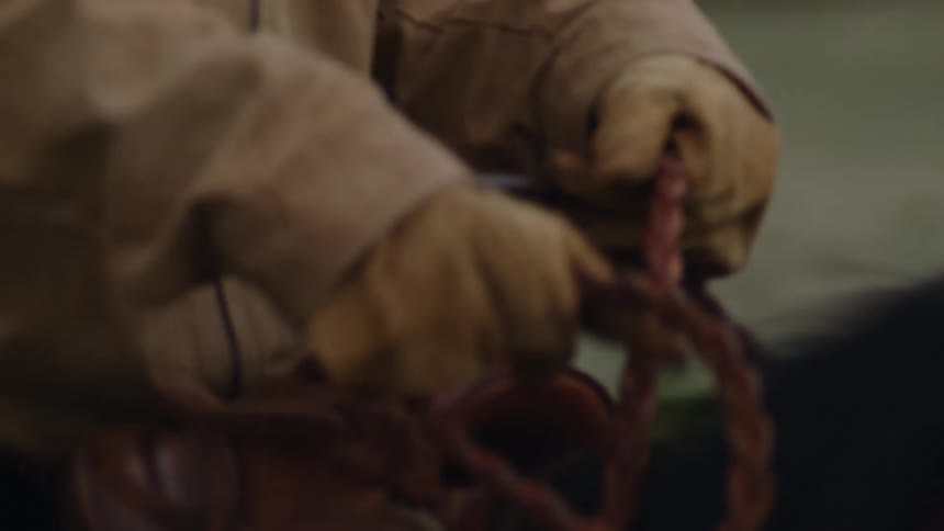 Hand with leather gloves holding a rope on top of a horse