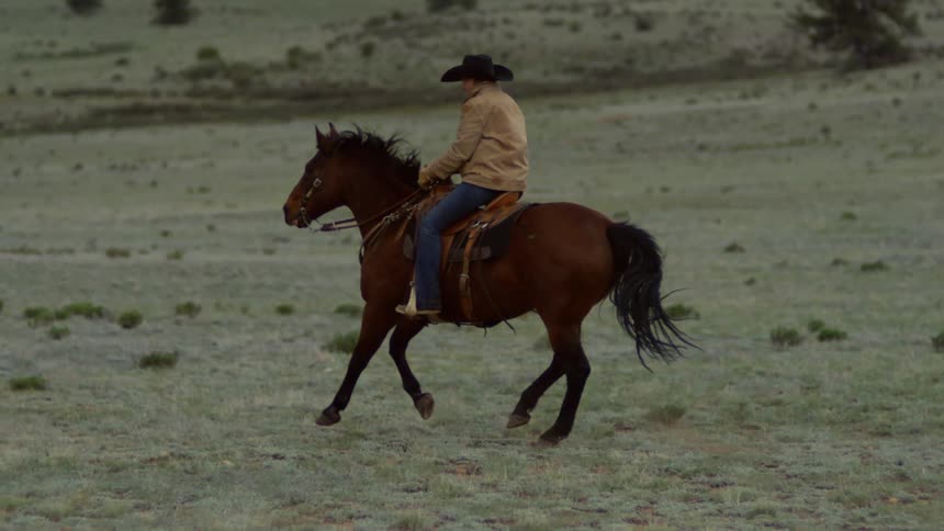 Cowboy riding a horse through a field