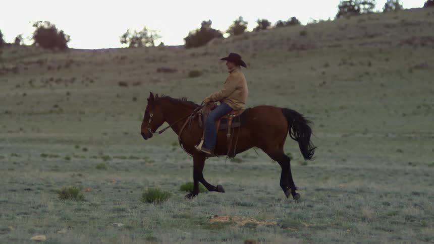 A man rides a brown horse through a spacious grass covered area