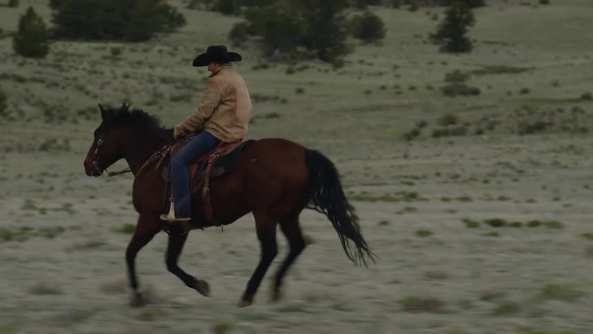 Cowboy rides on a galloping horse in the desert