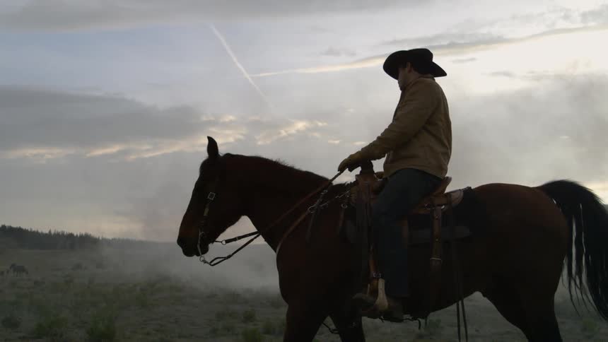 Man riding a horse in a field on a partly cloudy day