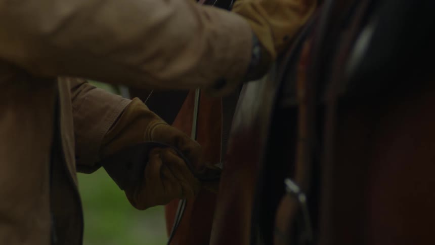 Ranch hand adjusts the saddle and other tack worn by a horse standing in a field
