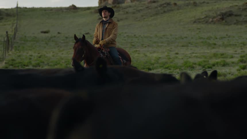 Man on horseback riding in a field with cattle around