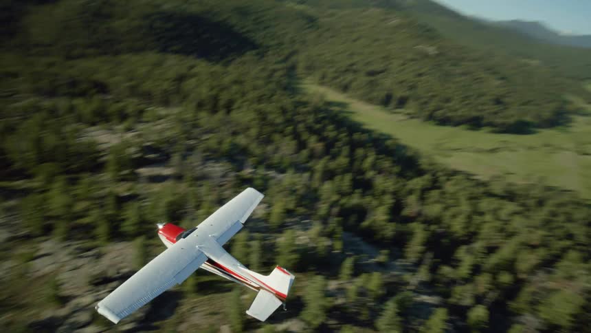 Aerial view of a dense forest with a small plane flying overhead