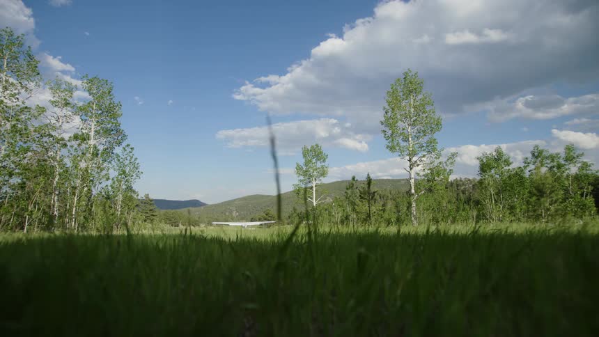 Small single engine aircraft taking off in a field with forests around