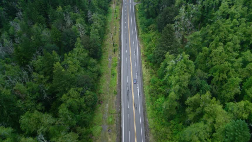 An aerial view of a car driving down a straight road flanked by dense greenery and trees on both sides
