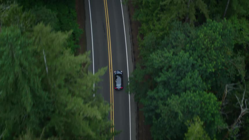 An aerial view of a car driving along a winding road surrounded by dense greenery
