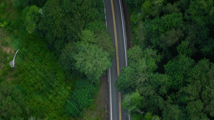 A car is traveling on a long road past a forest