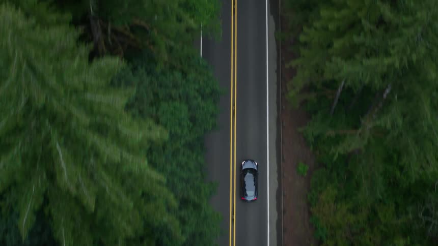 An aerial view of a car driving along a road surrounded by dense greenery