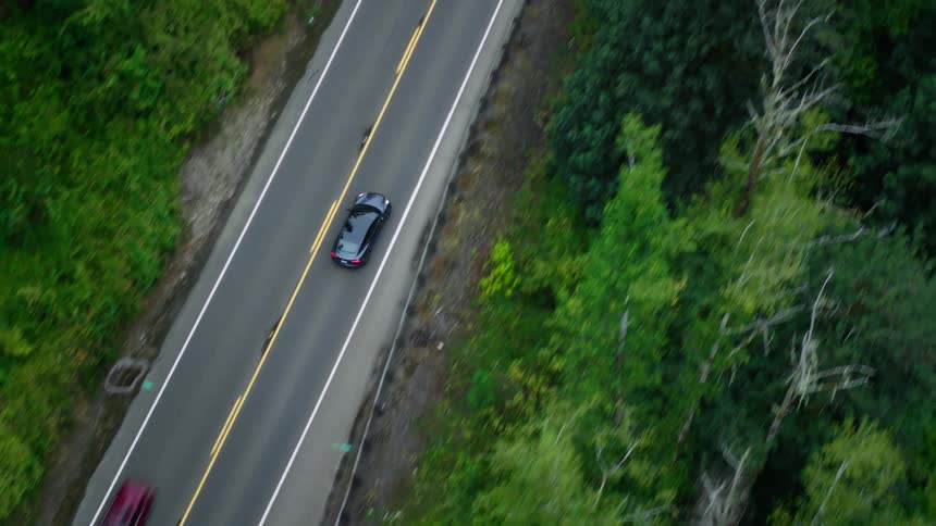 Vehicles travel along a highway passing through the forest during the daytime