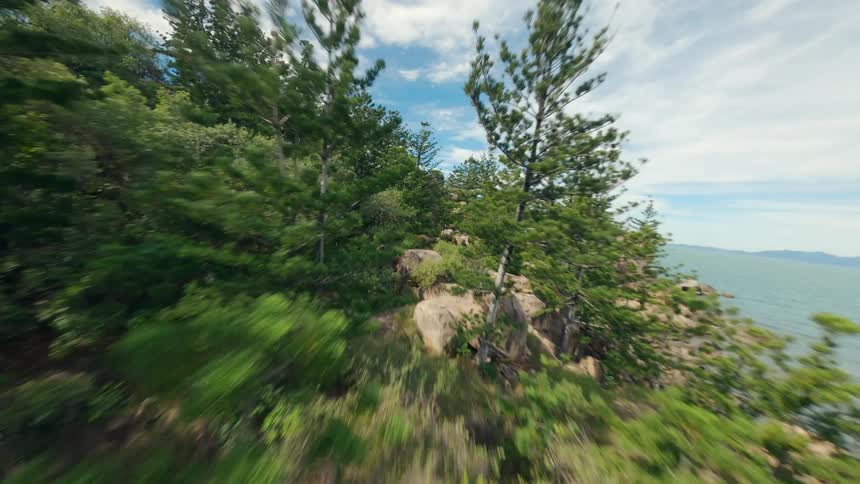 A sparse forest grows on the banks of a rocky coastline