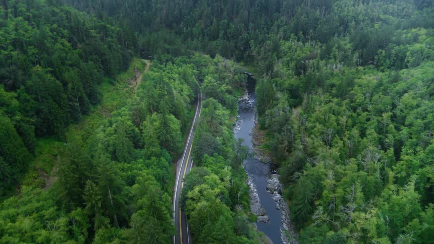 A lush green forest landscape features a car driving down a winding road and a river flowing next to it