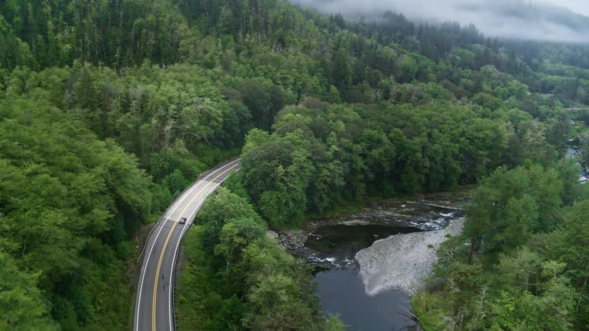 A winding road cuts through a dense misty forest in the mountains next to a river