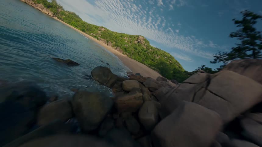 Aerial view of rocky coast with vegetation and the edge of a beach