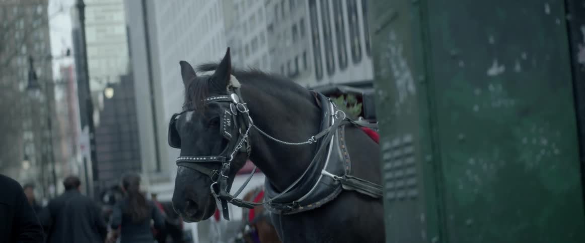 A city filled with people and buildings and a horse standing in the rode hooked to something