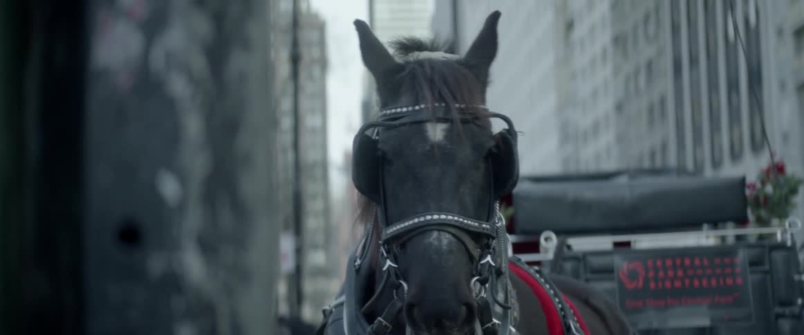 A horse attached to a carriage stands in a city