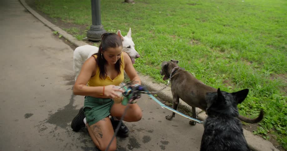 A woman picks up a spilled drink from the ground surrounded by dogs as she walks in the park