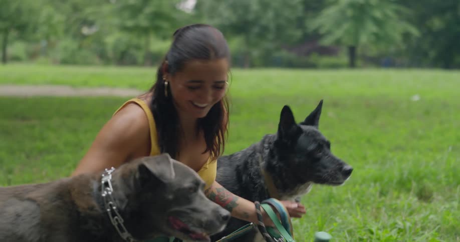 A young woman with three dogs is on her knees in a park smiling while cleaning herself up after falling to the ground
