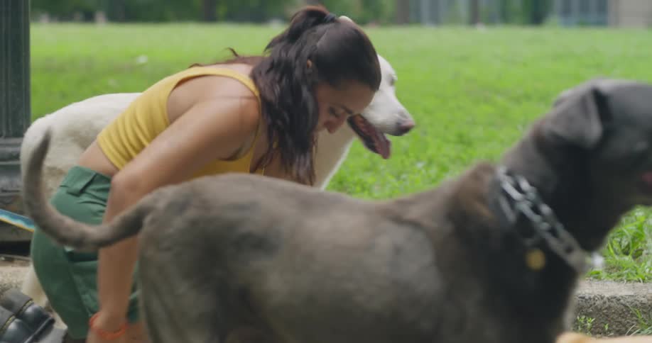 Woman walking four dogs in a park and falling to the ground