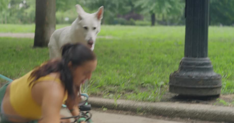 A young woman holding a drink in a plastic cup is walking three dogs in a park when a man in a bicycle passes too close making her fall down and spill her drink