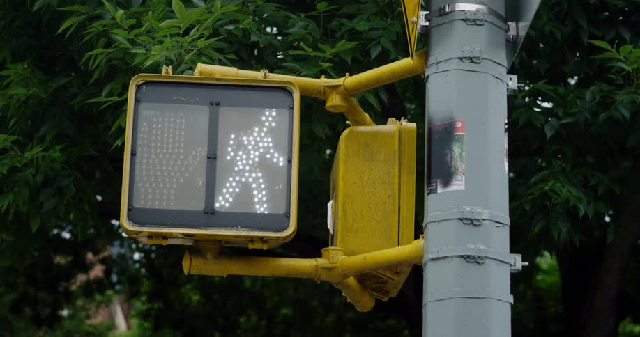 Traffic light monitor authorizing pedestrian crossing