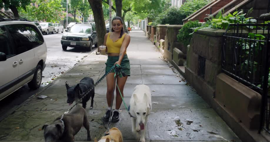 Woman walking on a sidewalk holding a drink and carrying four dogs on leashes