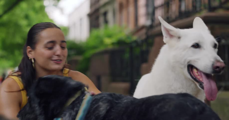 Crouching woman pets two dogs on a sidewalk
