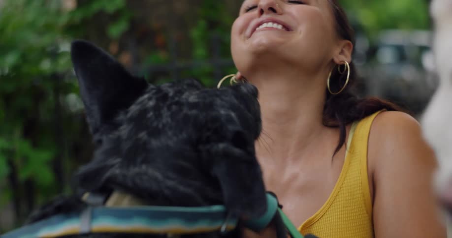 Closeup of a woman playing with dogs in a park