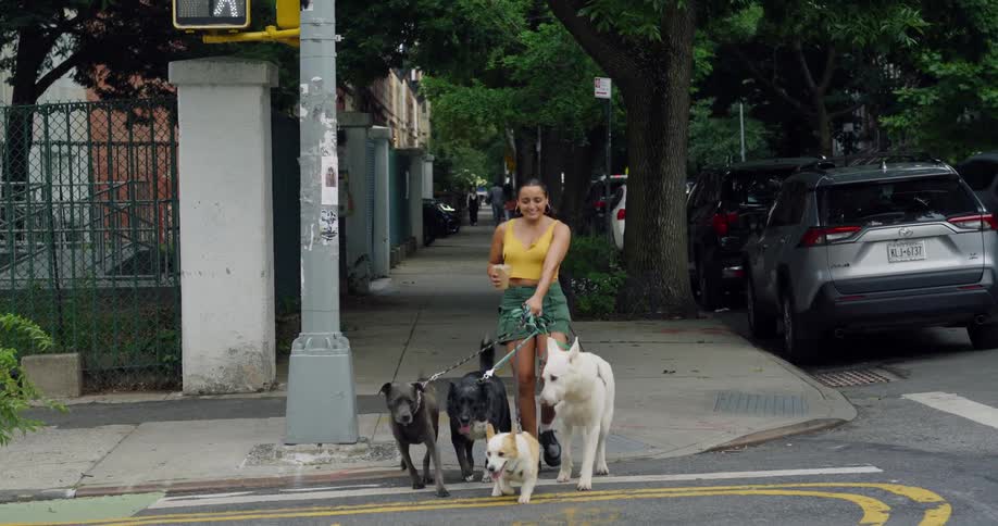 Woman crossing the street while walking four dogs