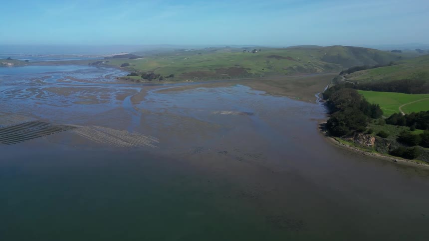 A serene coastal landscape with tidal flats and rolling green hills under a clear blue sky
