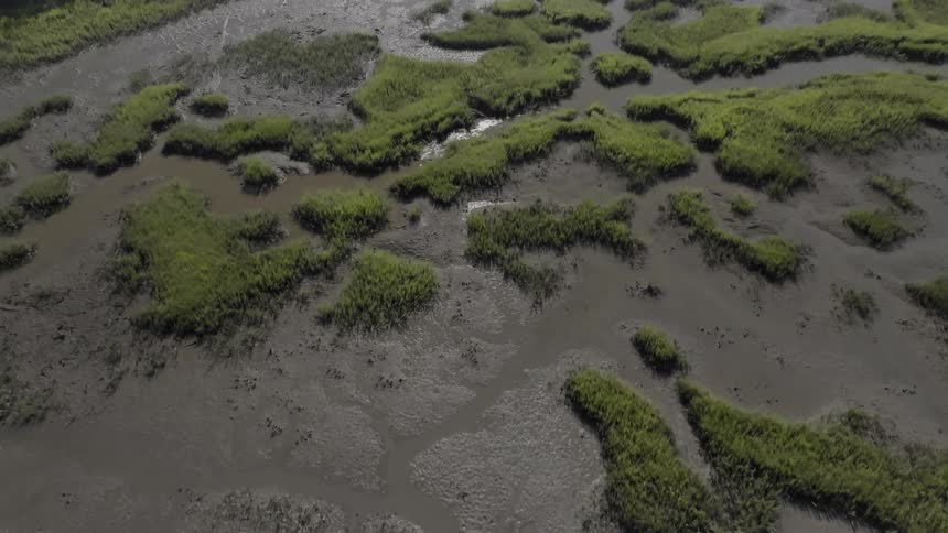 An aerial view of a wetland area with green vegetation patches and muddy water