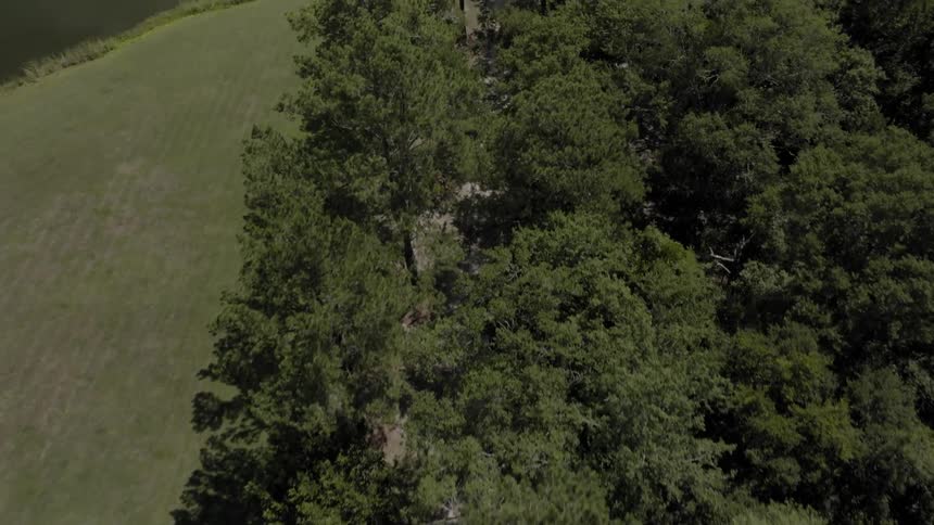 Aerial view of a landscape with contrast between a green forested area and an adjacent field and a car traveling along a road