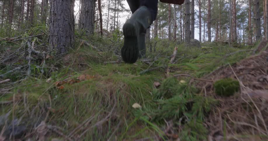 Legs of a woman with boots walking in the forest