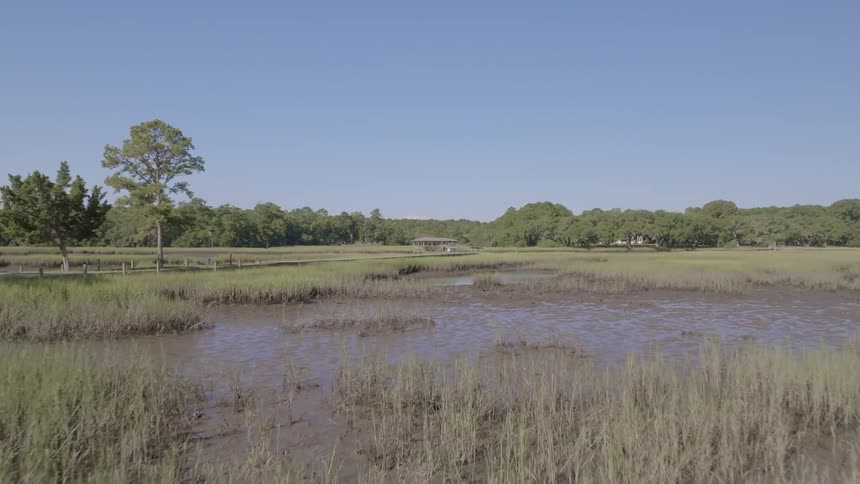 Landscape of a lake surrounded by vegetation during a clear blue sky day