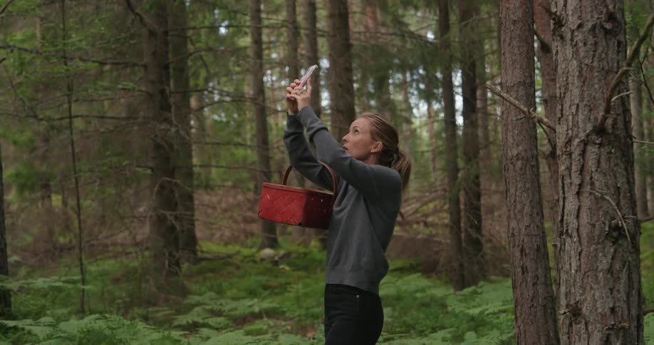 A woman carrying a red wicker basket in the forest filming the trees with her smartphone