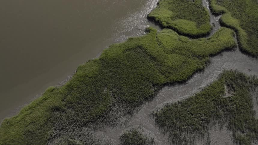 An aerial view of a wetland area with green vegetation patches and muddy water