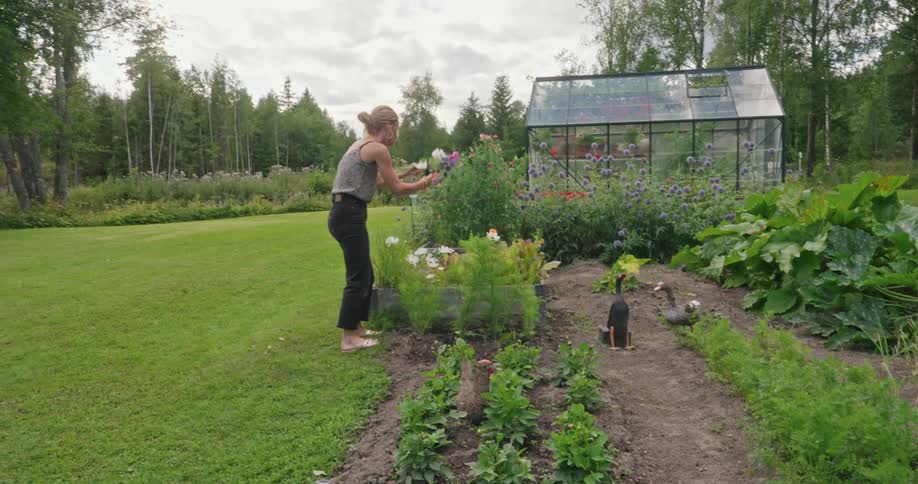 A woman is picking flowers in her garden