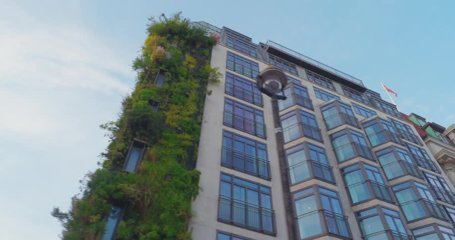 The side of the apartment building is covered with vines