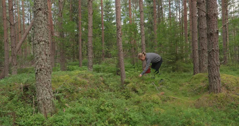 Woman walking with a bucket through the forest