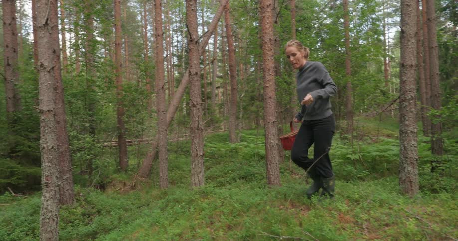 A woman carries a red wicker basket through the forest collecting mushrooms