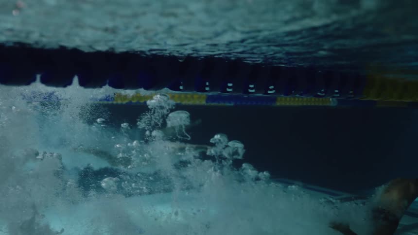 Swimmers jumping and swimming in a pool